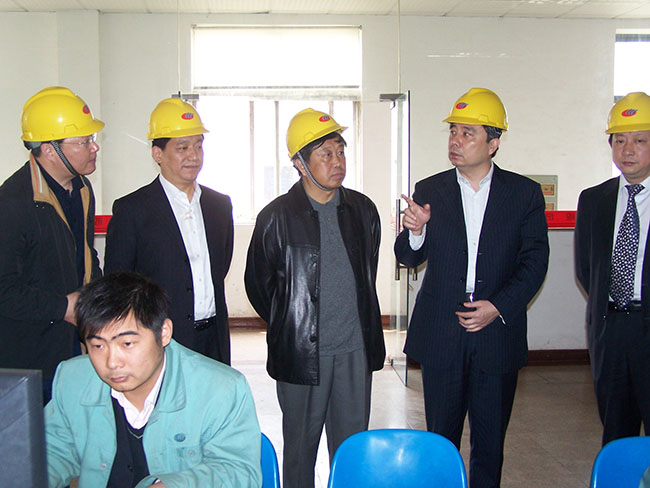 2008年4月23日，蘇州市委副書(shū)記、市長(cháng)閻立來(lái)到集團核心企業(yè)華昌化工考察